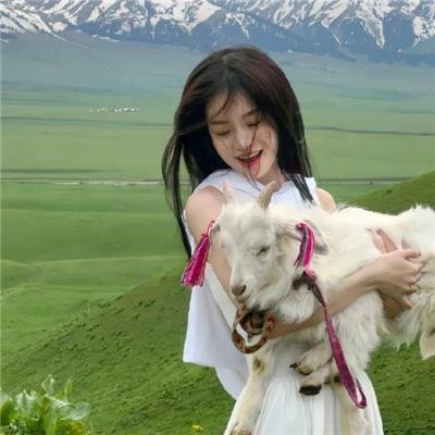 灵书妙探第五季