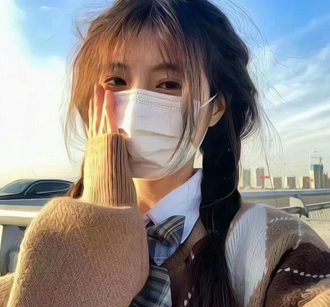 狮子狗行动